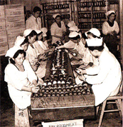 日本発の魚肉ソーセージは、昭和26年西南開発で誕生しました。